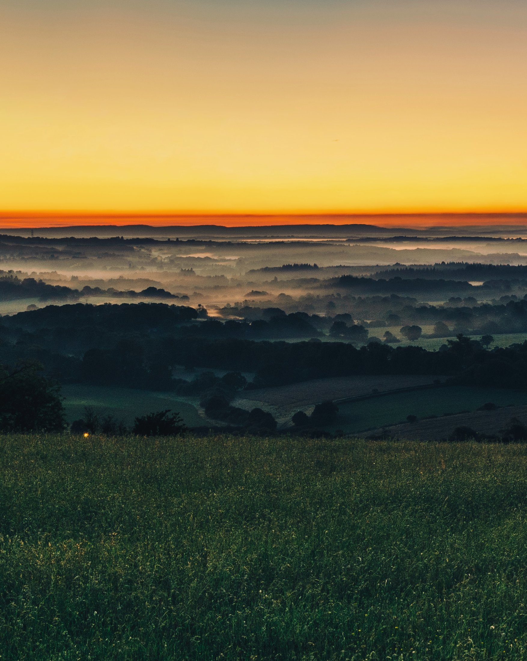 Golden dawn over misty English fields
